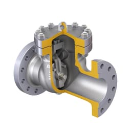 check-valve