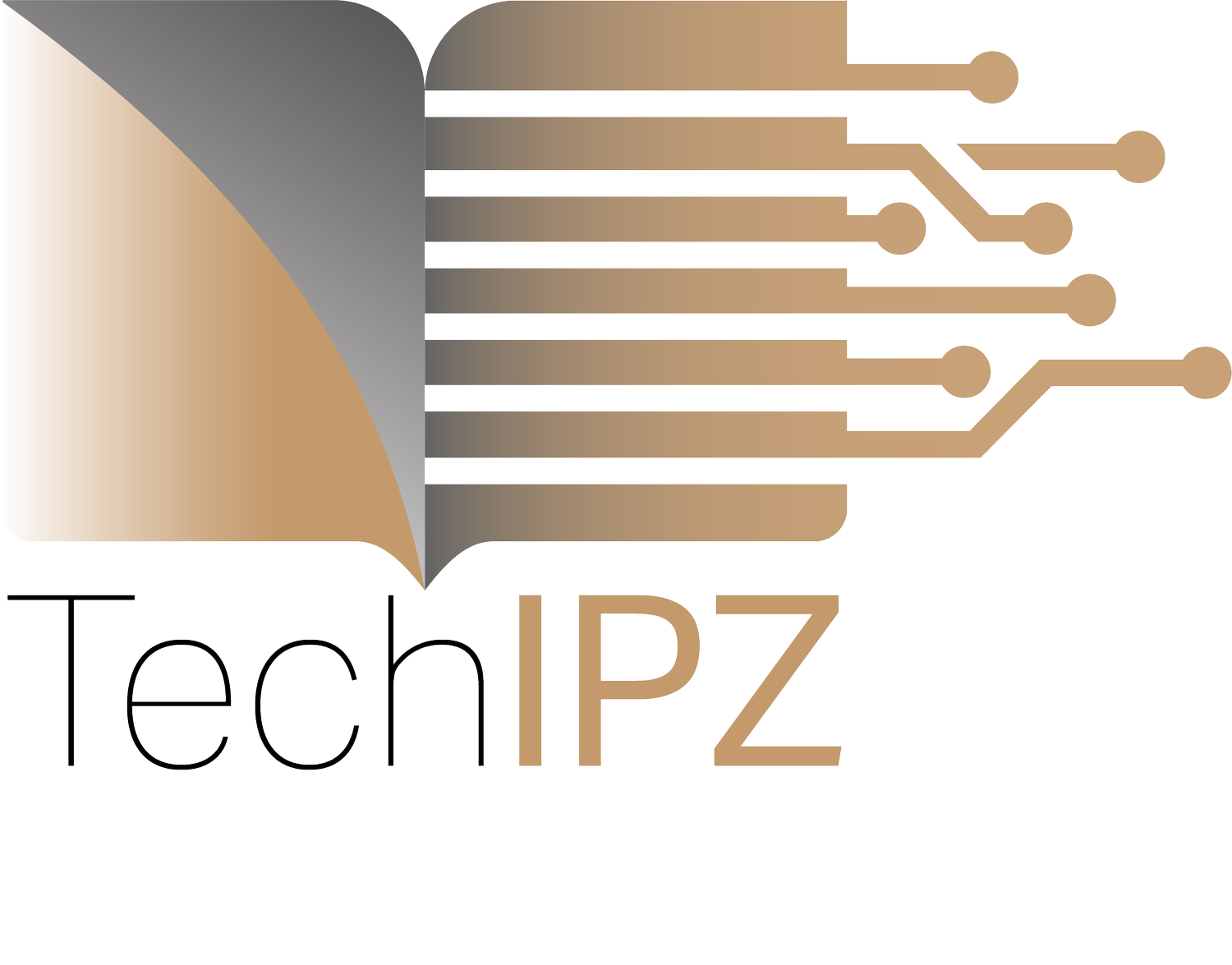TECHIPZ